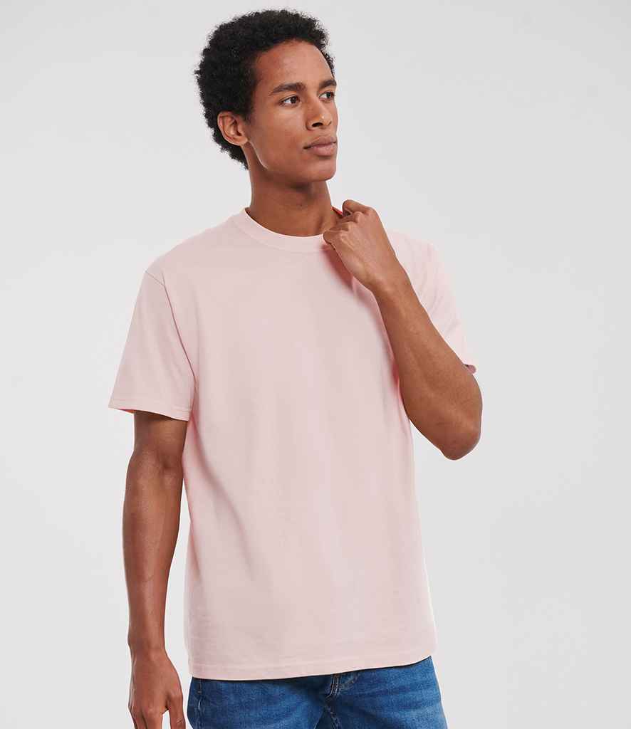 180M Powder Rose Model