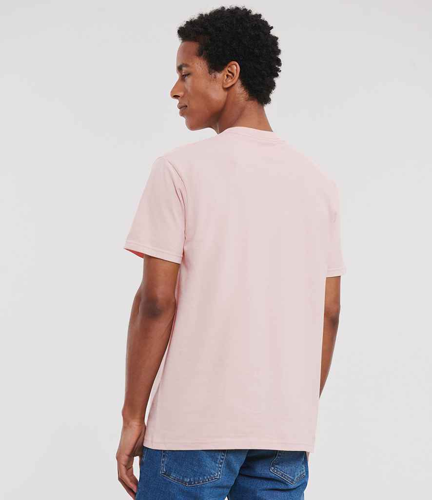 180M Powder Rose Model