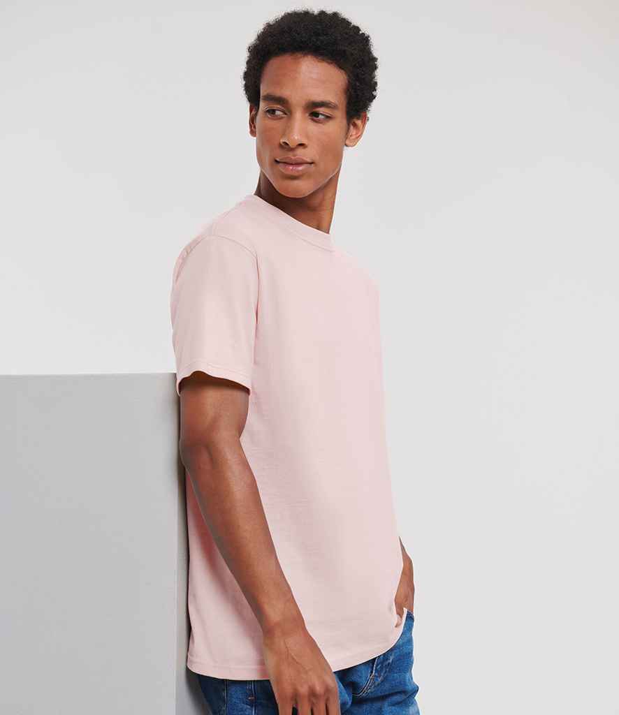 180M Powder Rose Model