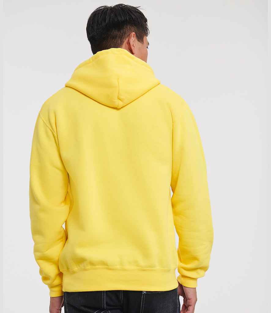 575M Yellow Model