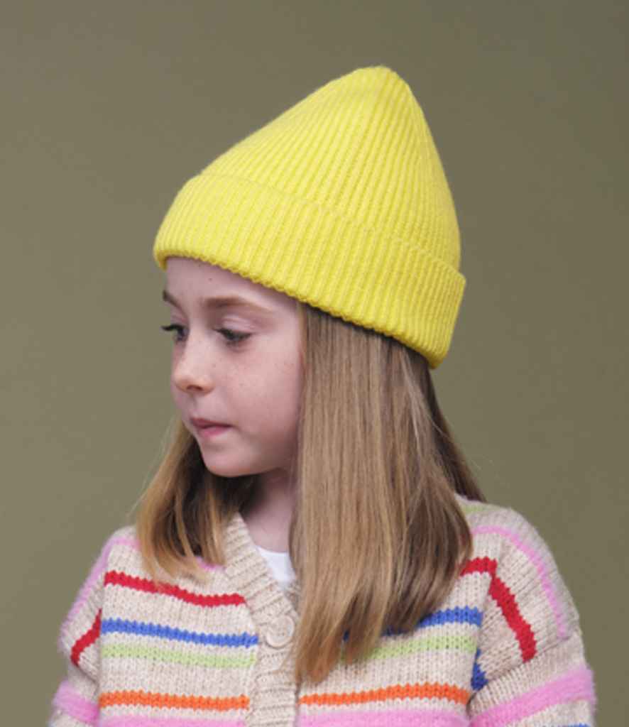 BB381B Lemon Model