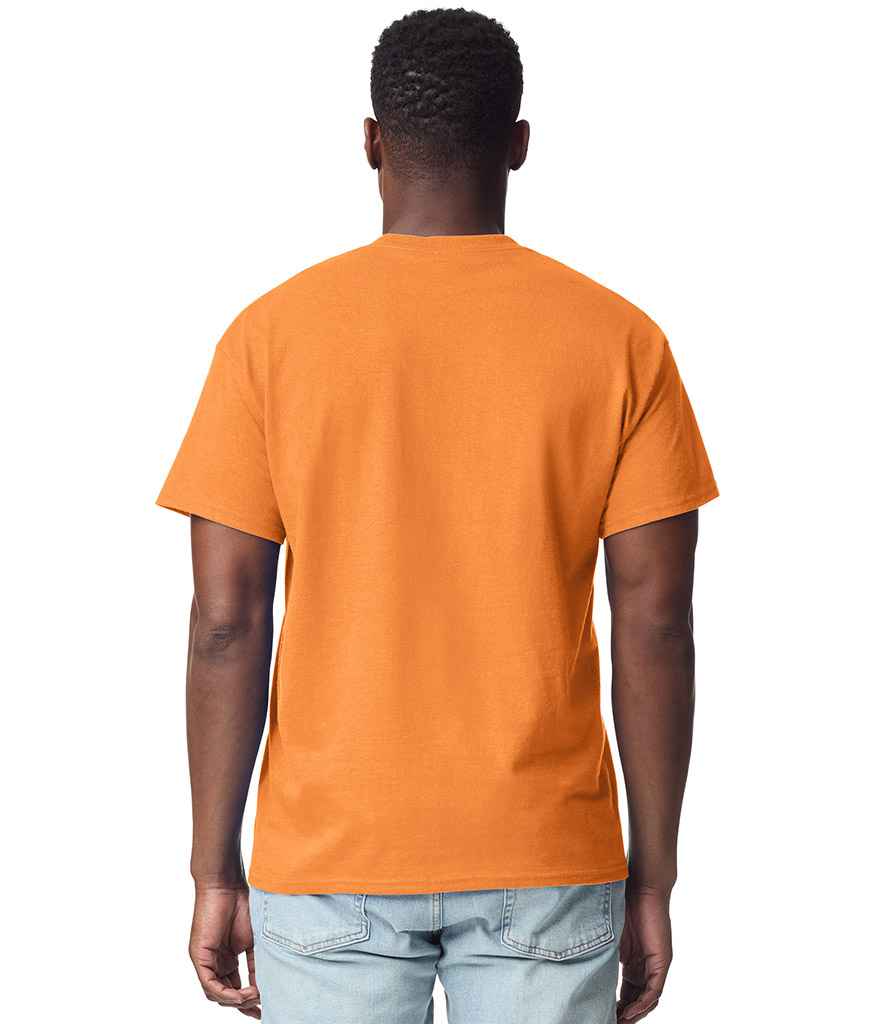 GD02 Tangerine Model