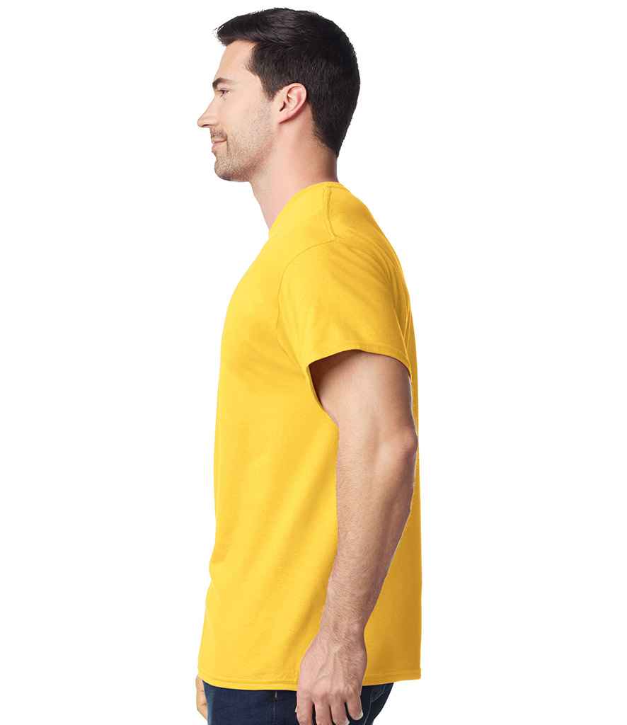 GD05 Daisy Model