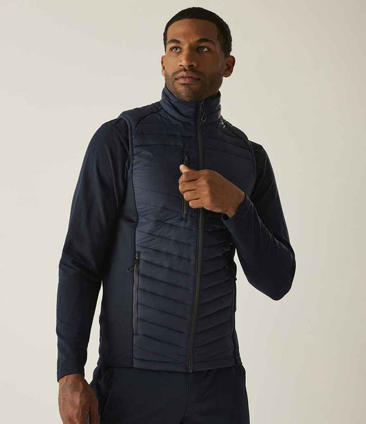 RG447 Navy/Seal Grey Model