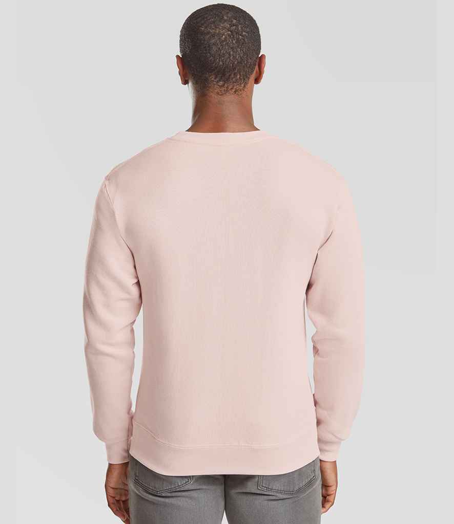 SS9 Powder Rose Model